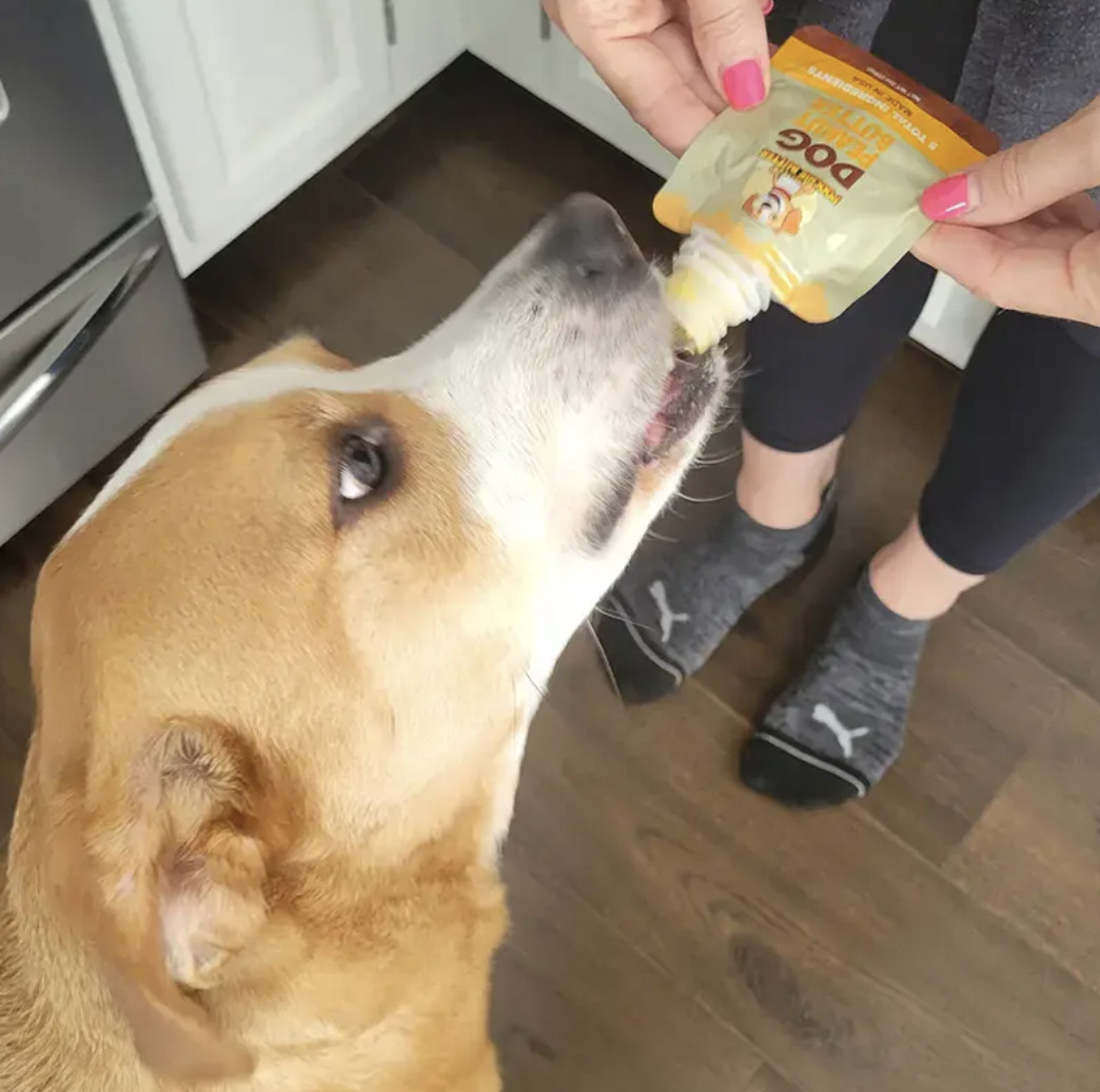 Poochie Butter- 花生填充玩具組