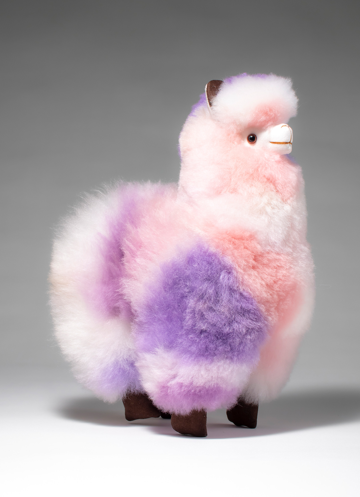 Alpaca, image size:1200x1656