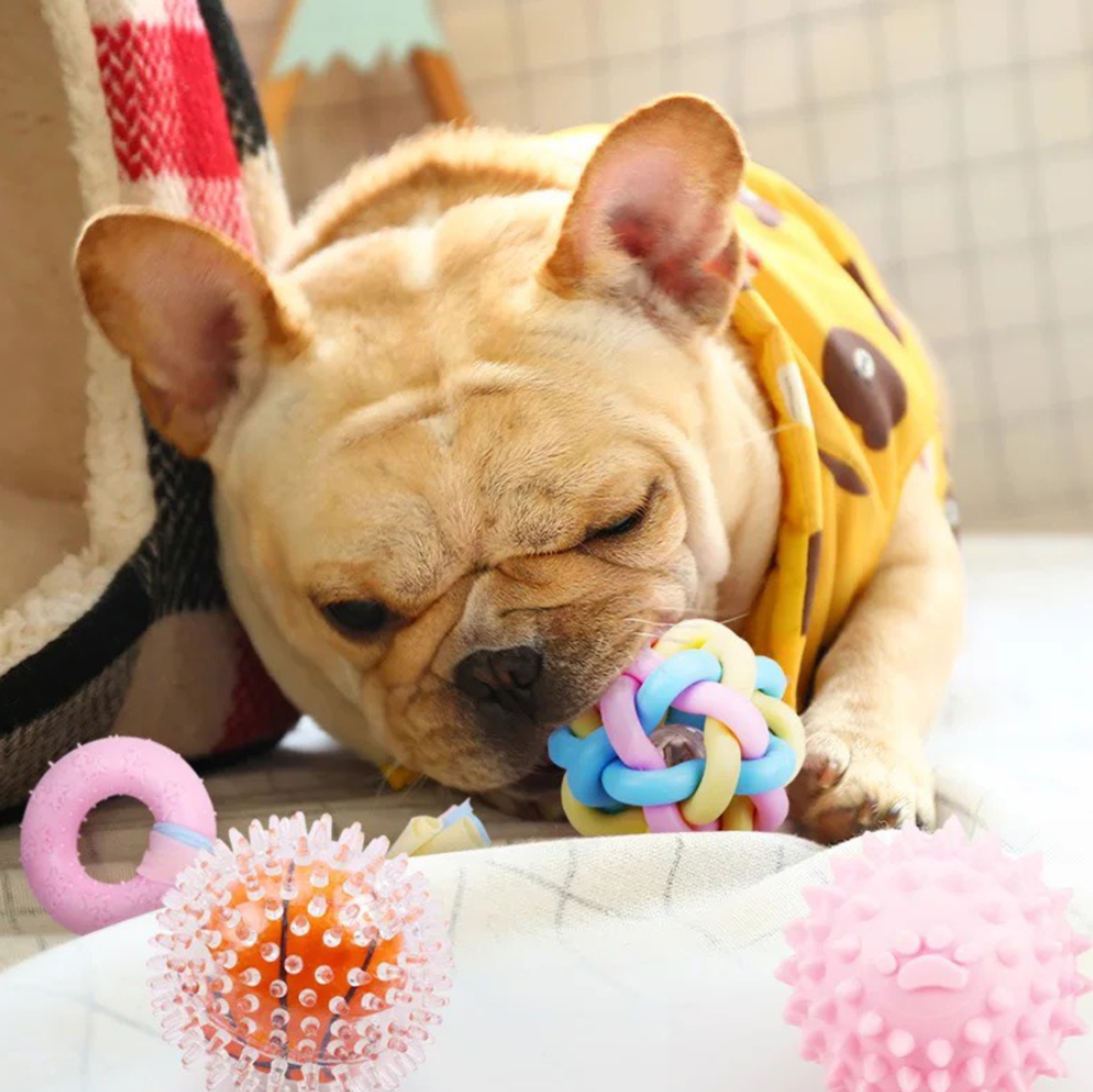 寵物發聲磨牙玩具