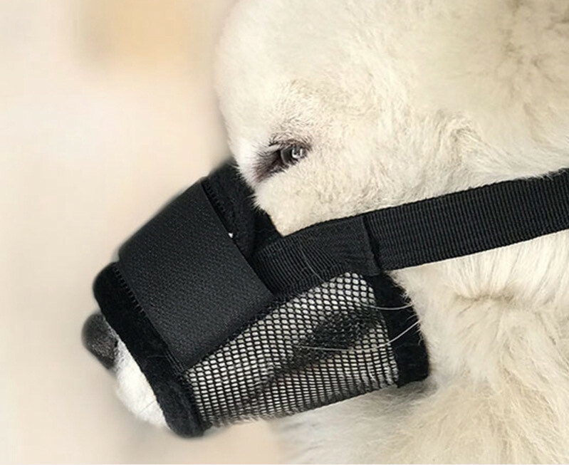 寵物可調節式嘴套