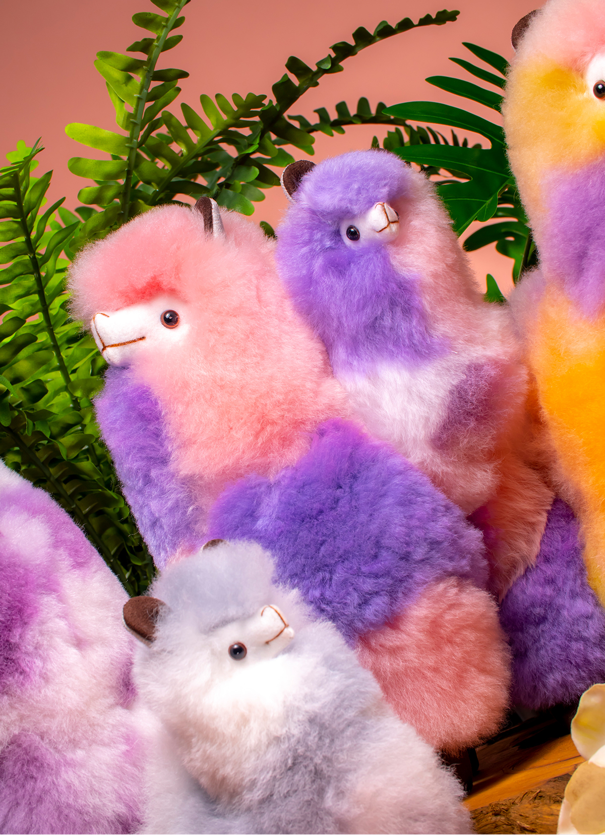 风琴本素材封面朋友- 抖音, image size:1200x1656