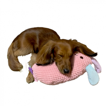 PetzRoute 枕頭玩具 3款