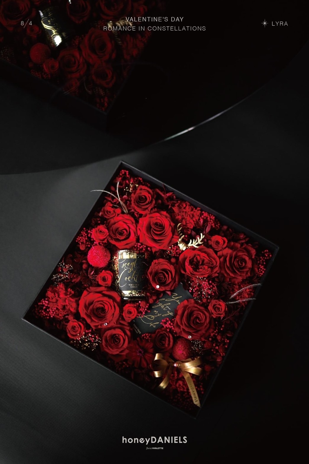 天琴座 Lyra_禮盒