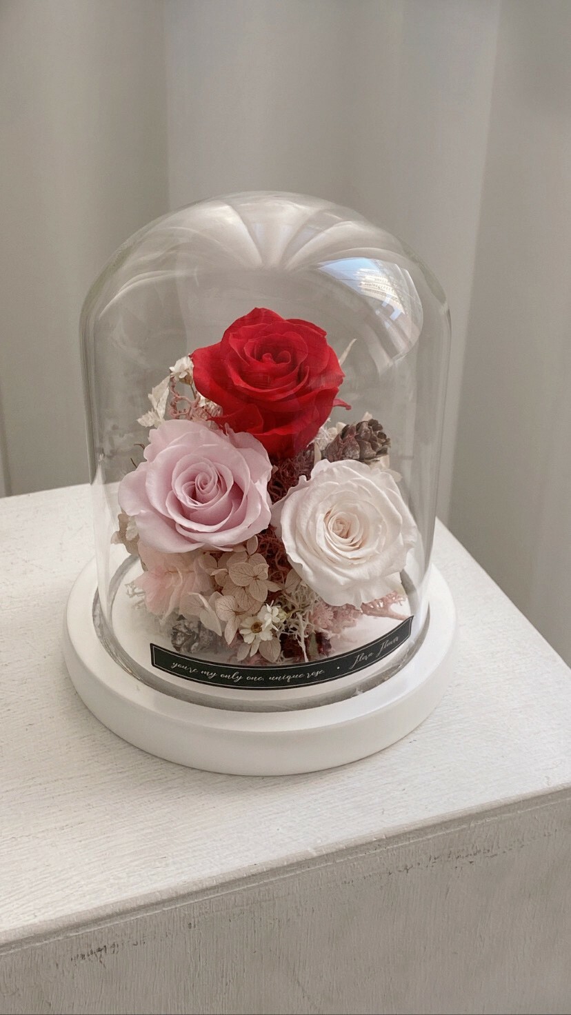 永生花夜燈-大紅大紫(2款)