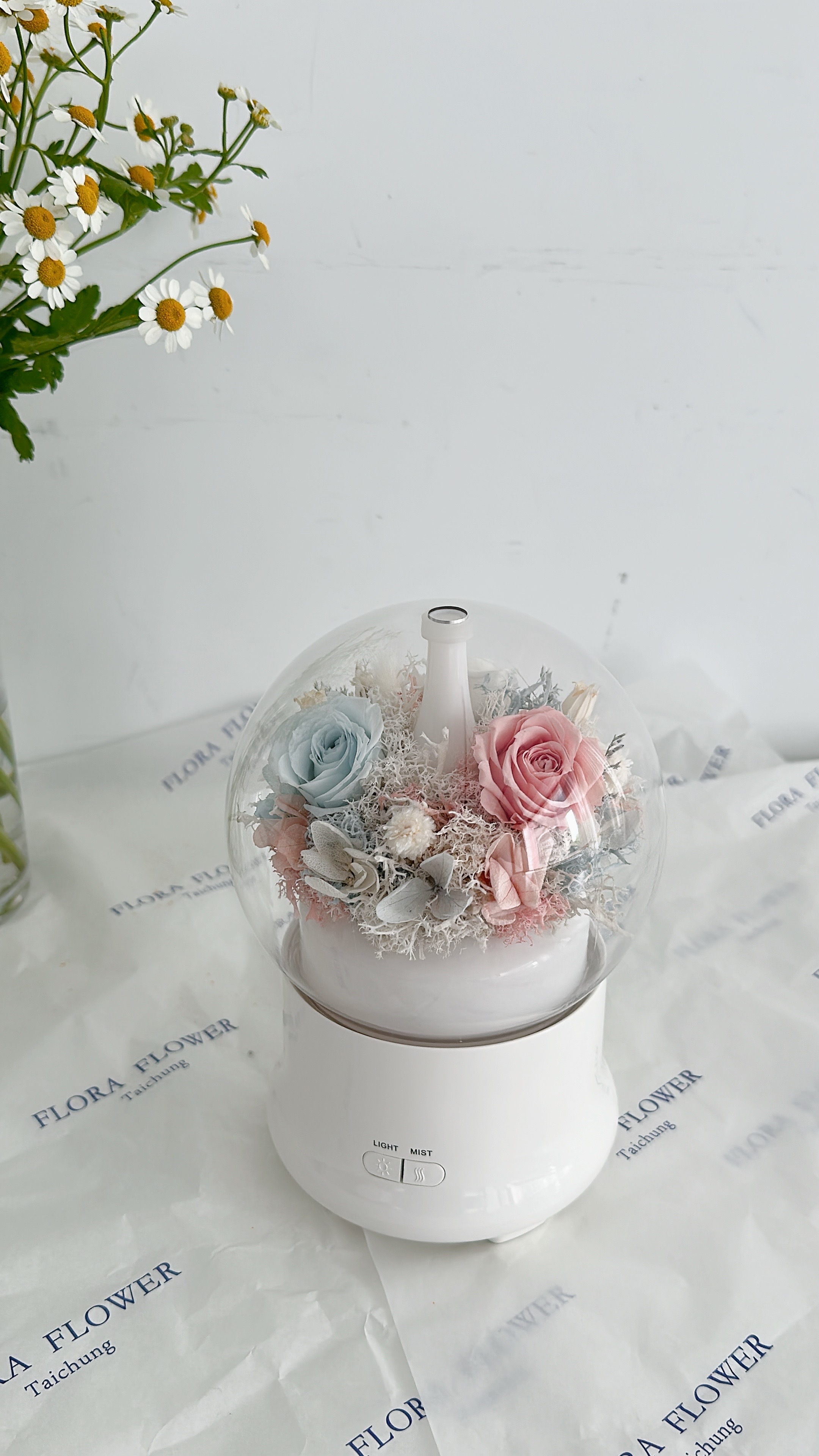 永生花水氧機-糖果