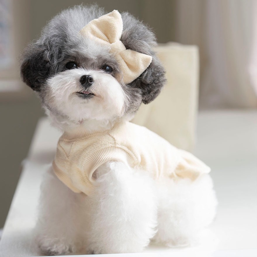 OPAAAP 網球運動洋裝