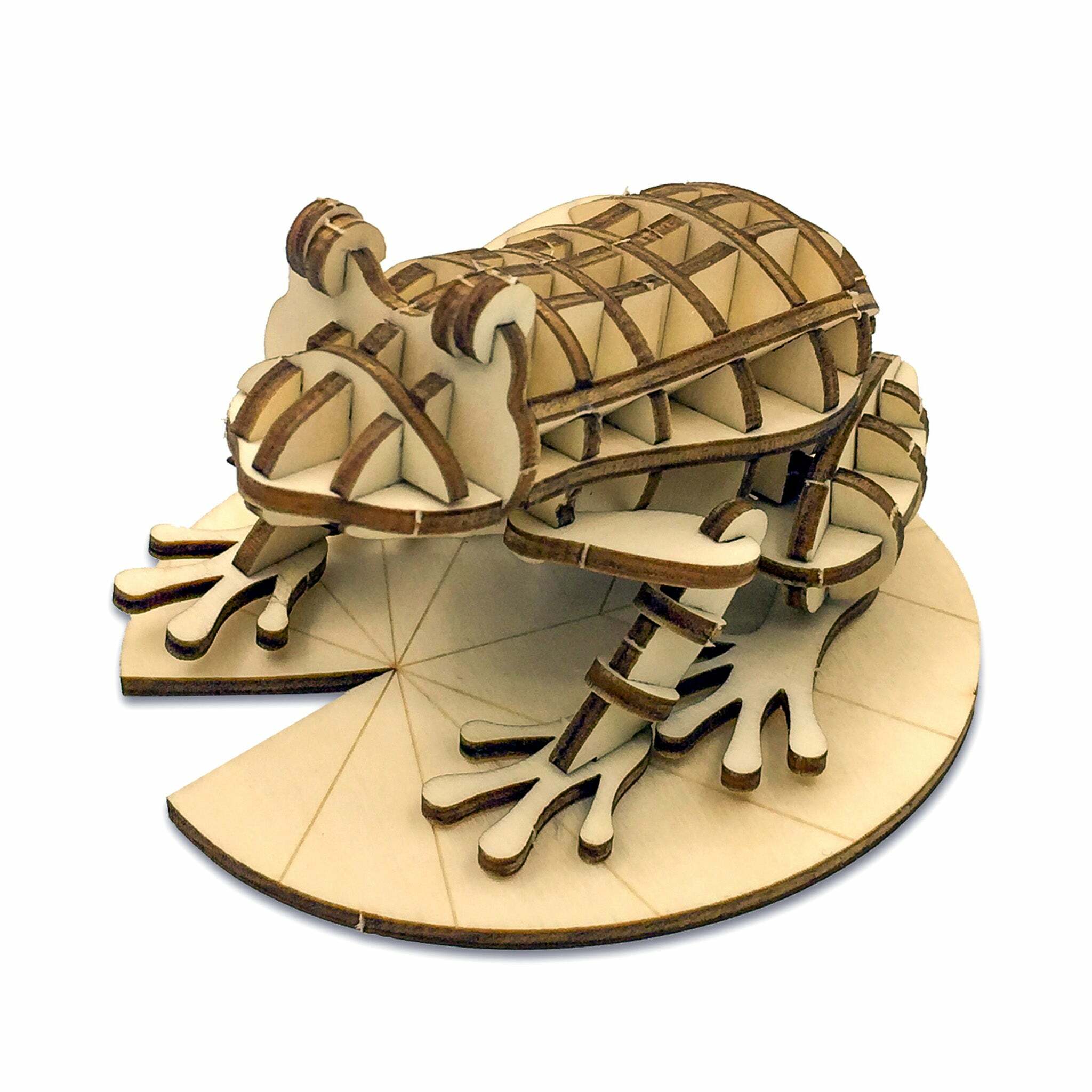 JIGZLE (E) 3D PLYWOOD PUZZLE - Frog