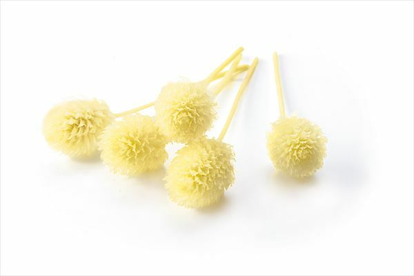 日本不凋千日紅 03453-501