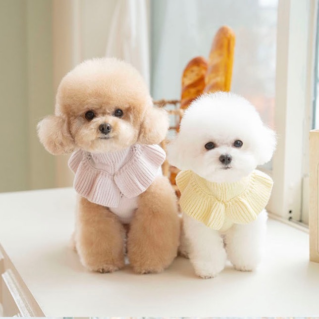 OPAAAP 新花領針織毛衣