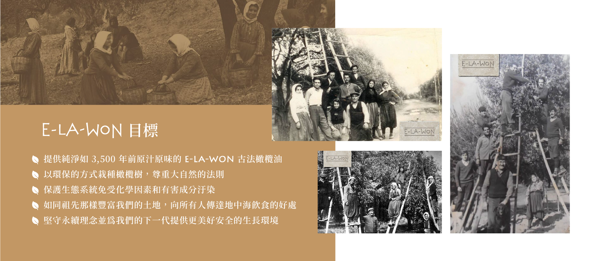E LA WON-希臘頂級橄欖油目標
