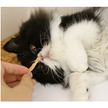 PetzRoute 高纖去毛球雞肉片 20g