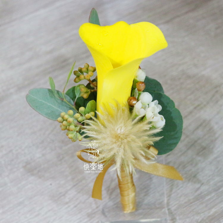 開展✵黃海芋胸花  AF230998