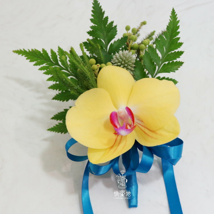 璀璨✵蝴蝶蘭胸花  AF230997