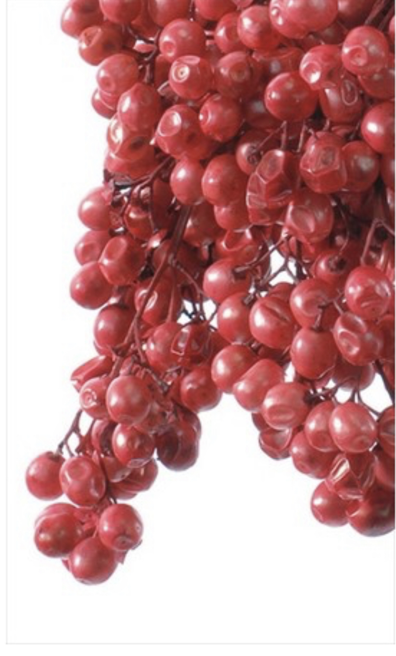 日本不凋胡椒果 03380-300