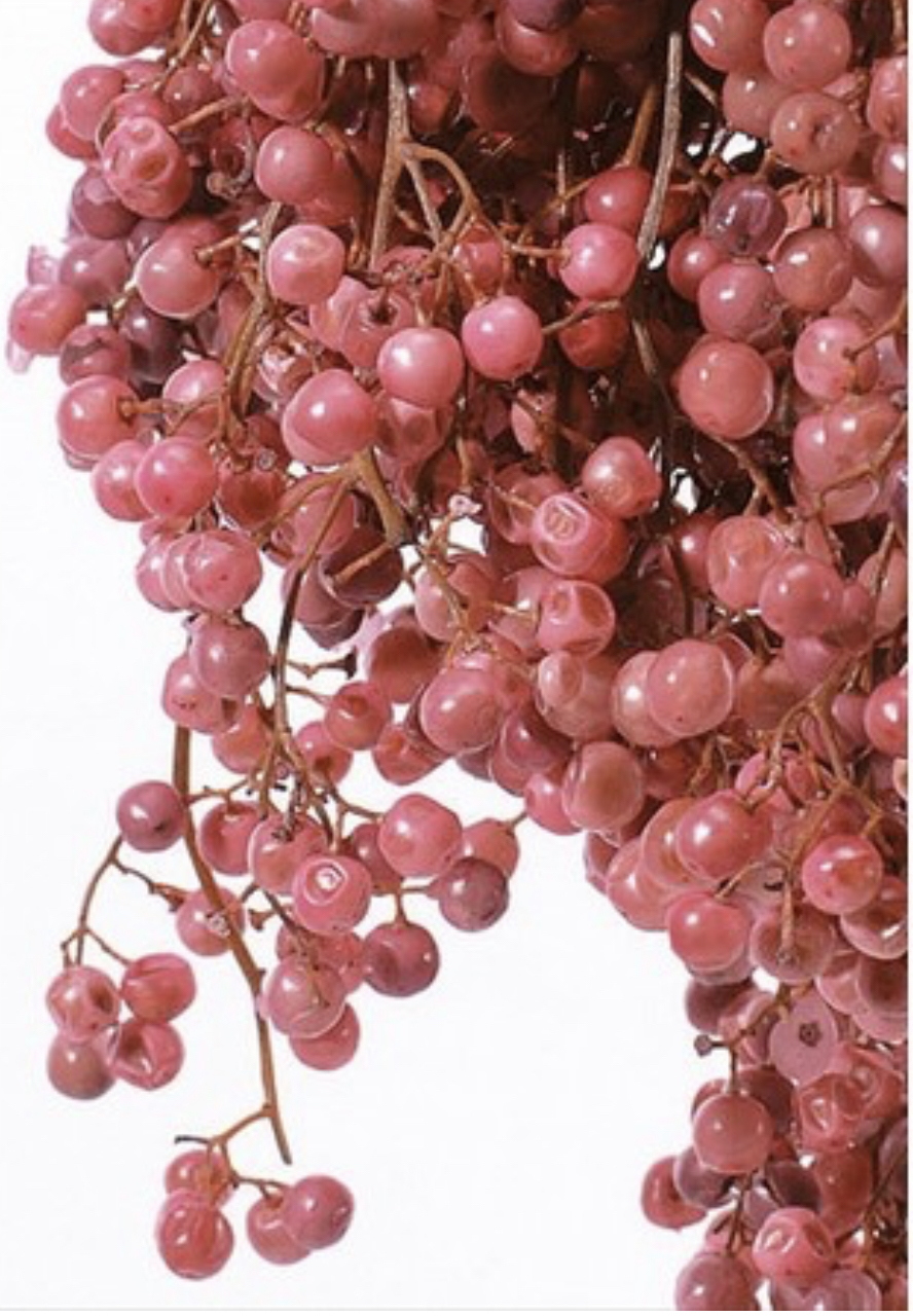 日本不凋胡椒果 03380-100