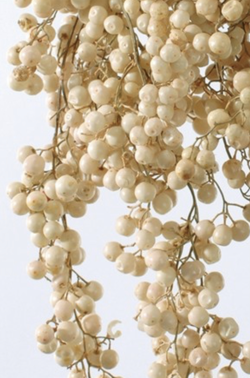 日本不凋胡椒果 03380-030