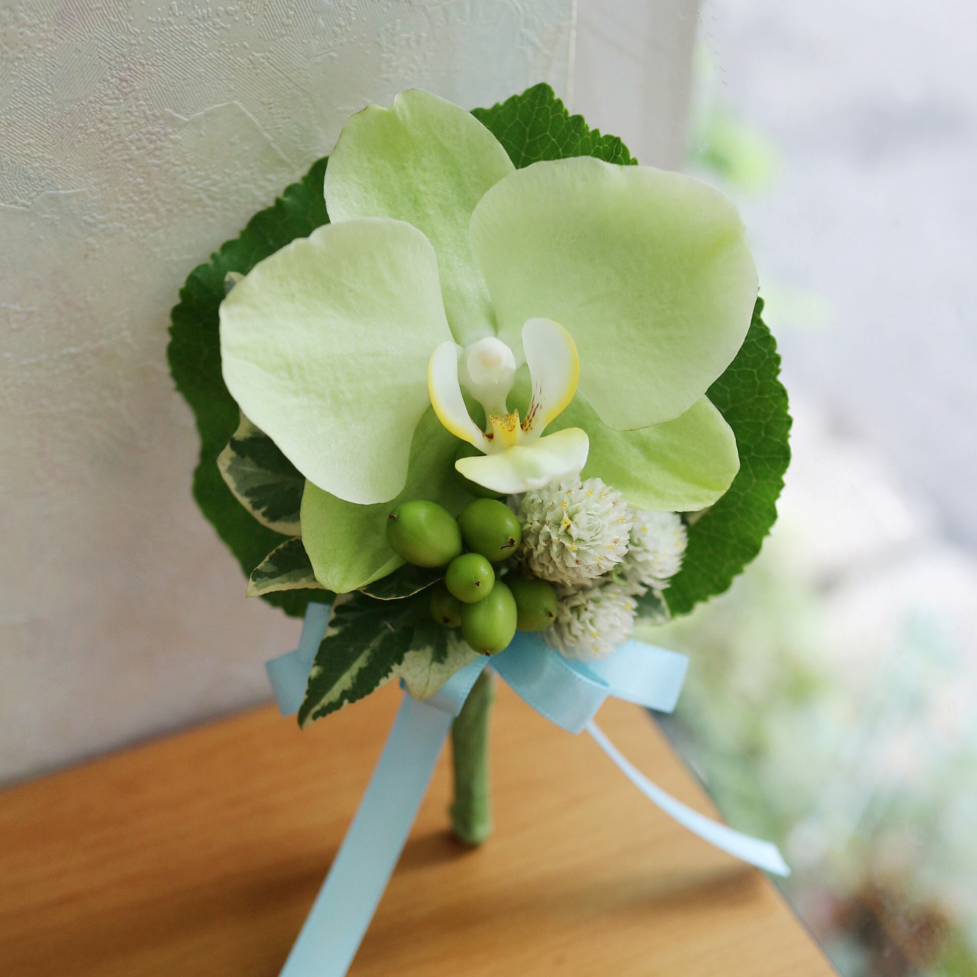 鮮亮✵東亞蘭胸花  AF200986