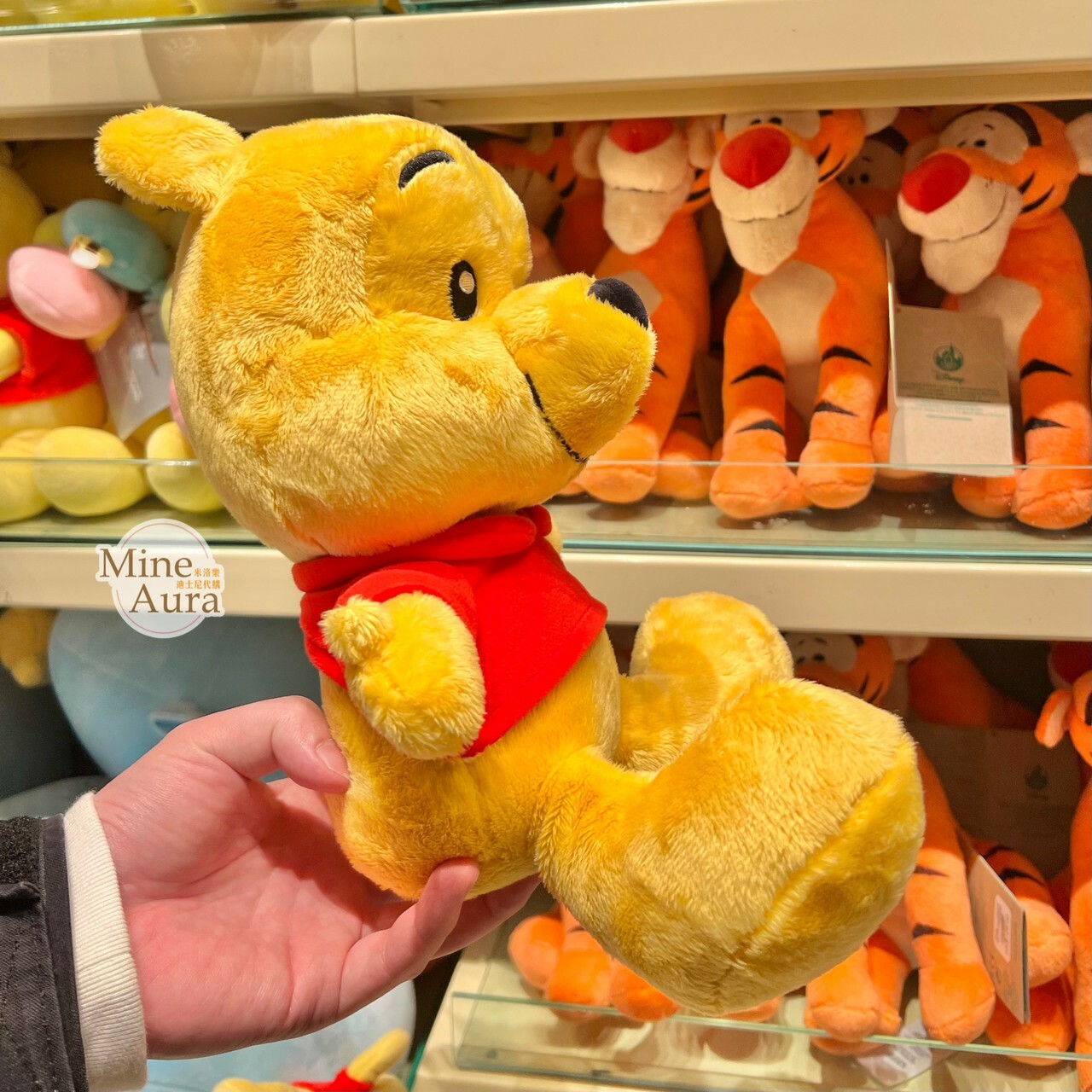 Q版 大腳丫系列 小熊維尼 Winnie the Pooh 娃娃 玩偶 -香港迪士尼樂園
