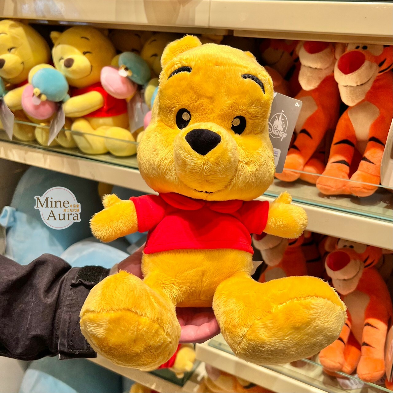 Q版 大腳丫系列 小熊維尼 Winnie the Pooh 娃娃 玩偶 -香港迪士尼樂園