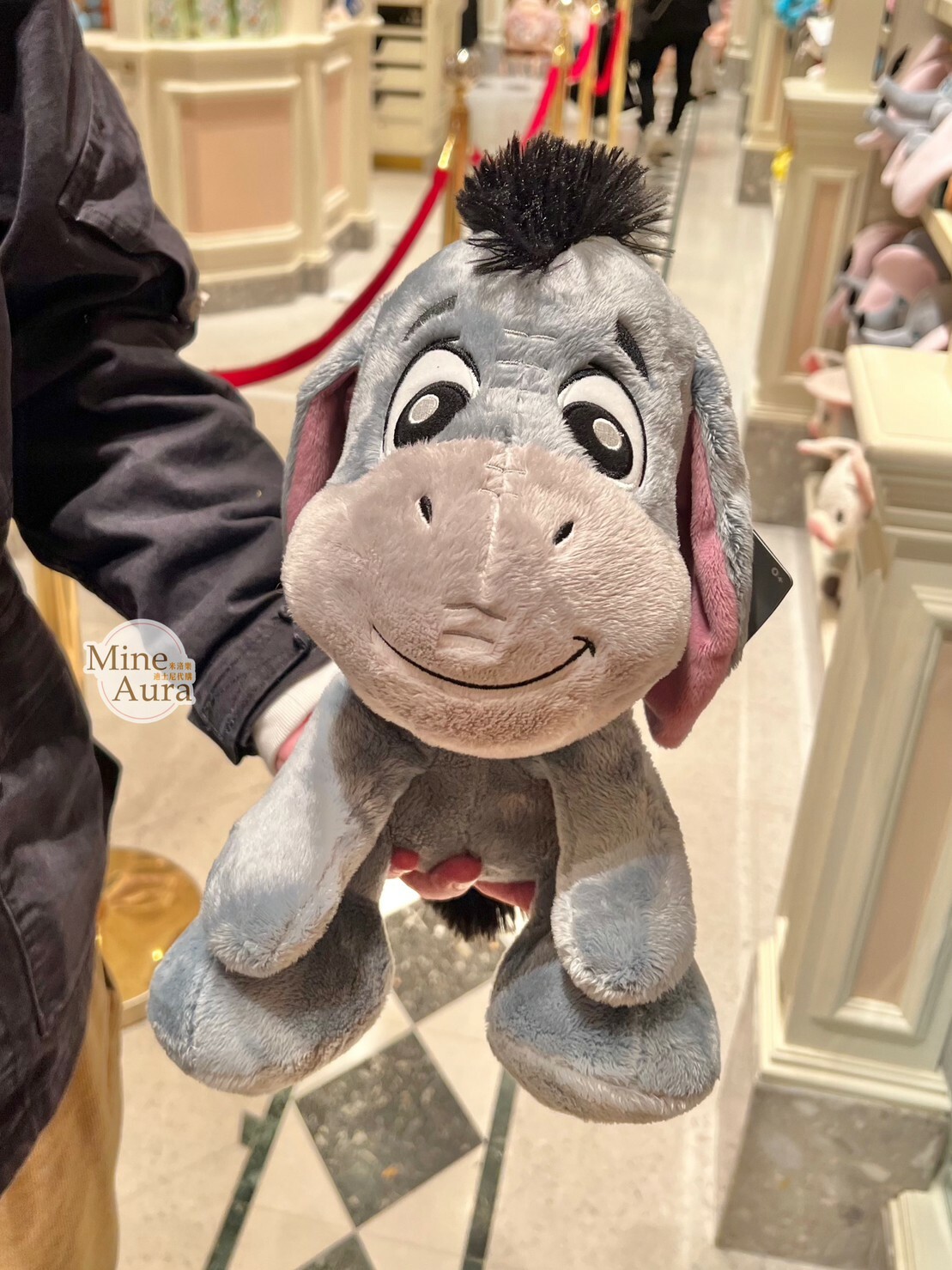 Q版 大腳丫系列 屹耳 Eeyore 娃娃 玩偶 小熊維尼 Winnie the Pooh -香港迪士尼樂園