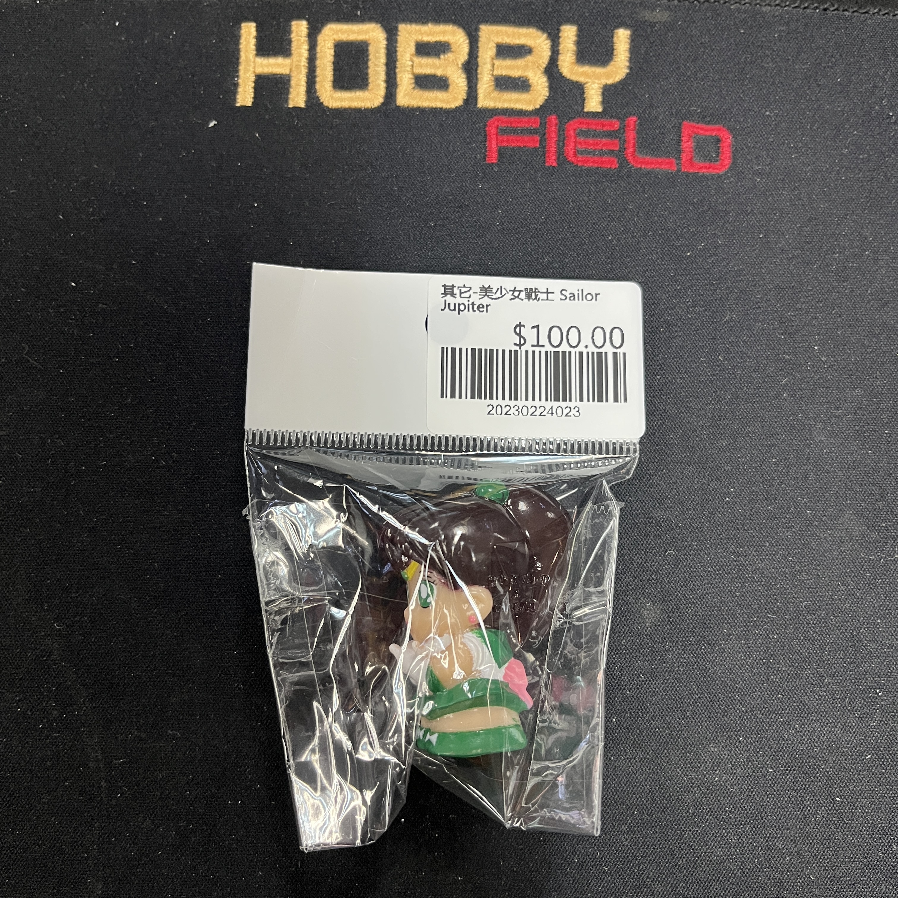 其他-美少女戰士 Sailor Jupiter