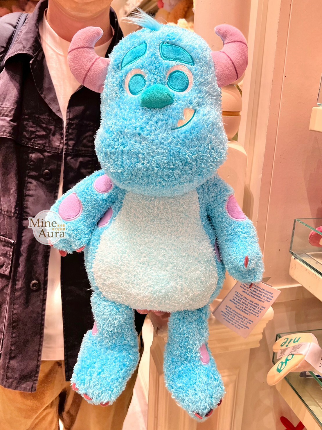 (現貨) 毛怪 蘇利文 Sullivan 療癒 豆袋 娃娃 玩偶 怪獸電力公司 Monsters, Inc. -香港迪士尼樂園