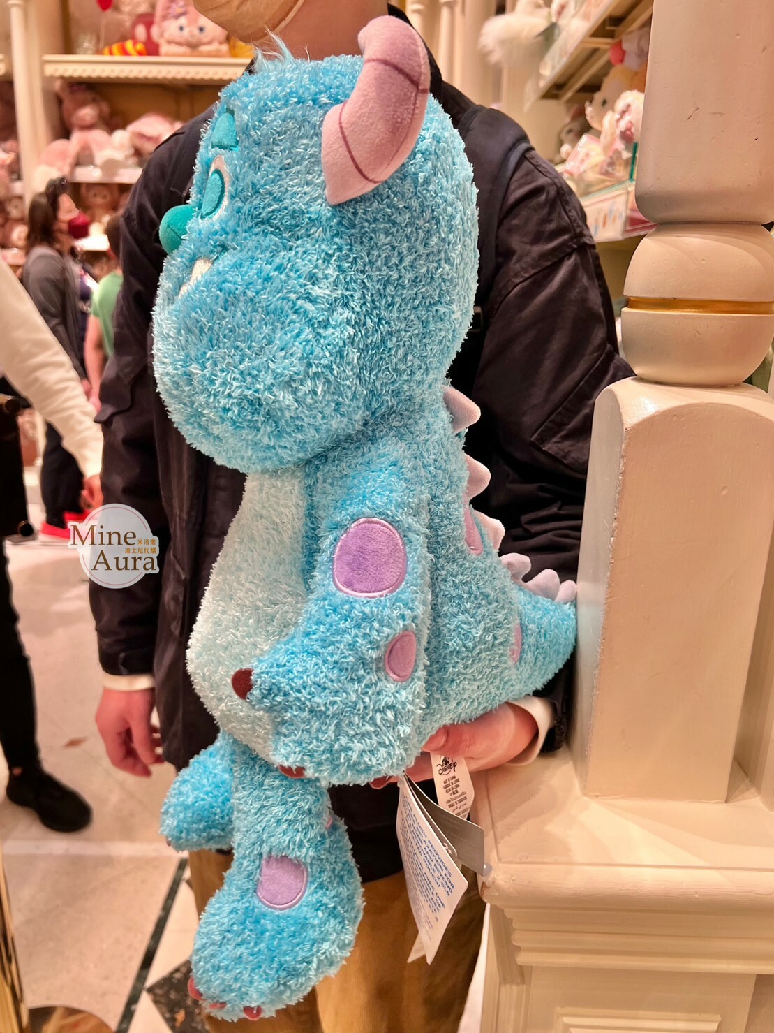 (現貨) 毛怪 蘇利文 Sullivan 療癒 豆袋 娃娃 玩偶 怪獸電力公司 Monsters, Inc. -香港迪士尼樂園