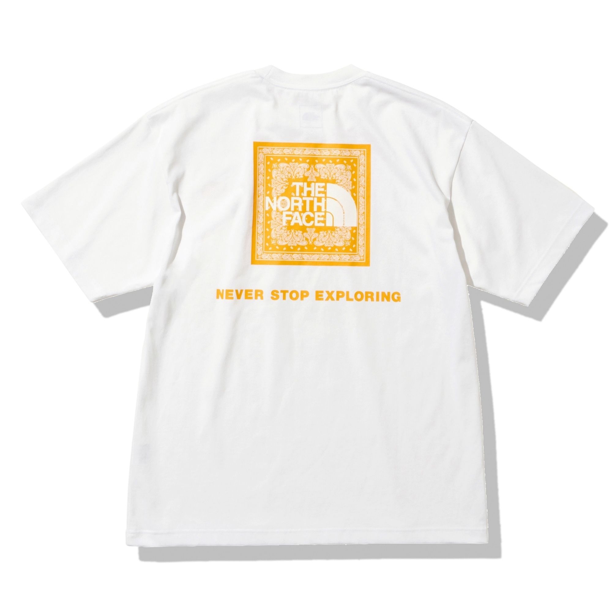 NT32349 日本THE NORTH FACE BANDANA SQUARE LOGO TEE