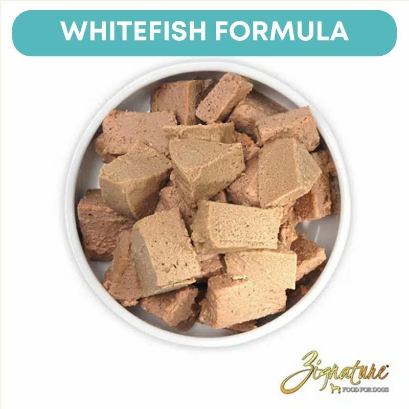 ZIGNATURE 超越白魚配方狗罐頭 13OZ