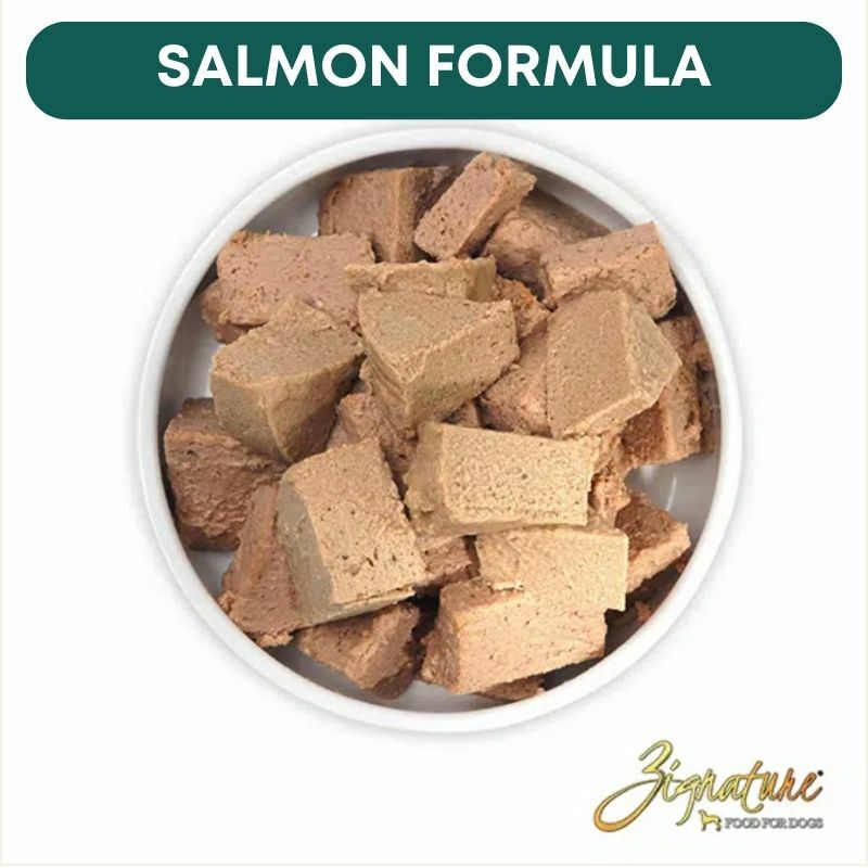 ZIGNATURE 超越三文魚配方狗罐頭 13OZ