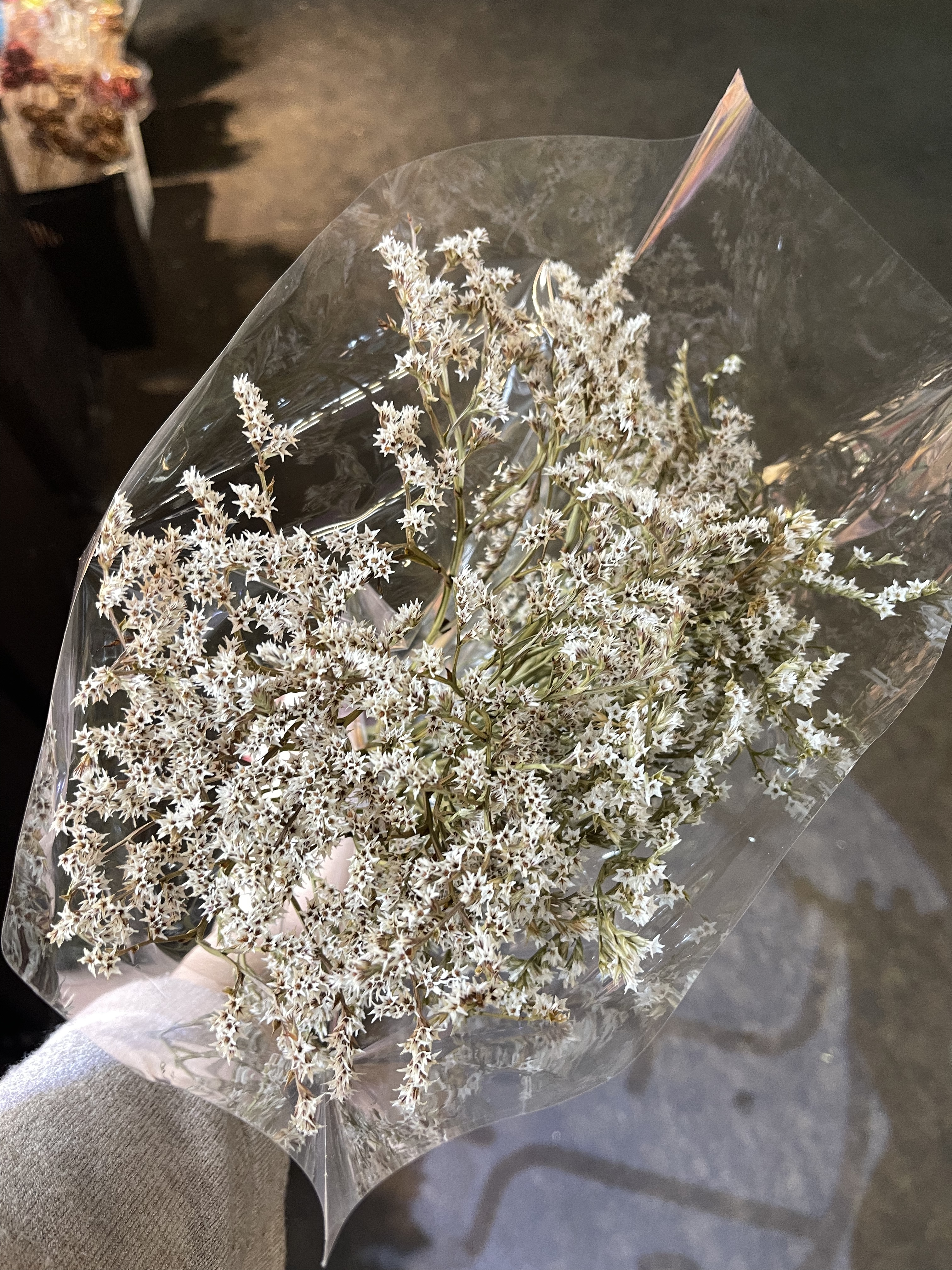 荷蘭乾燥雪花草