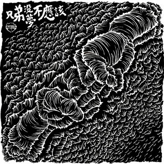 拍謝少年《兄弟沒夢不應該》（CD）