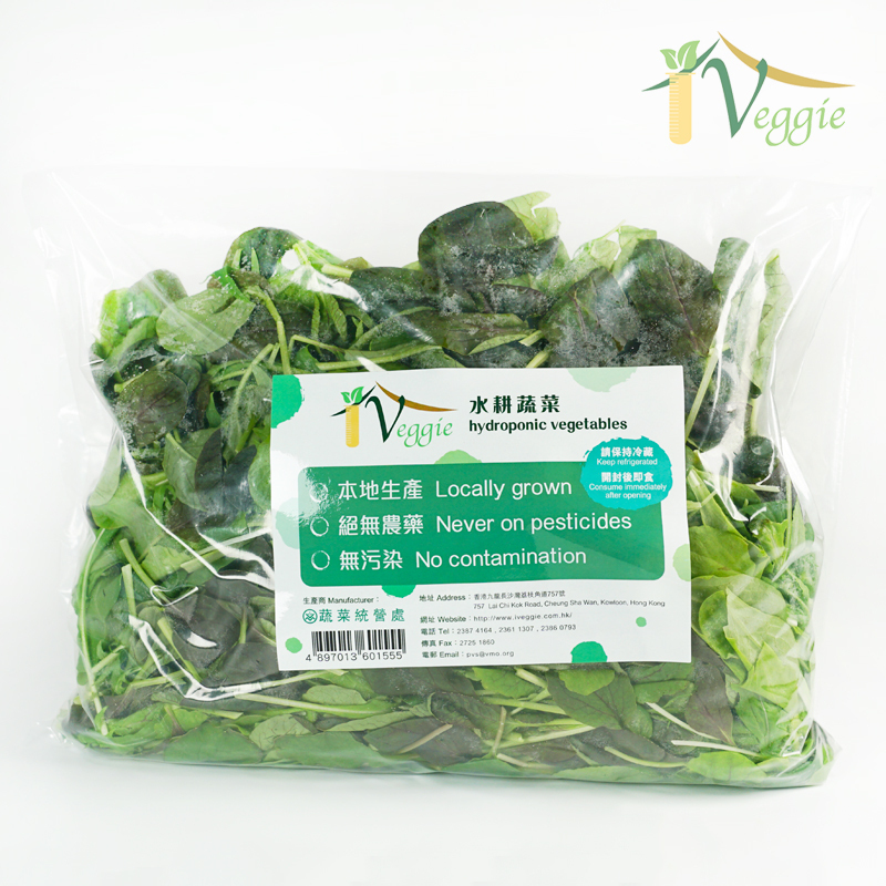 Hydroponic Babyleaf 500g (BAG)