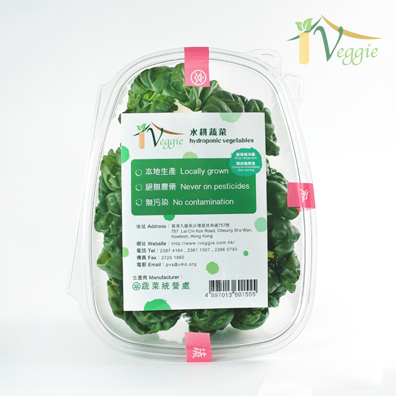 本地水耕鶴藪(學斗)白菜 (300g/包)
