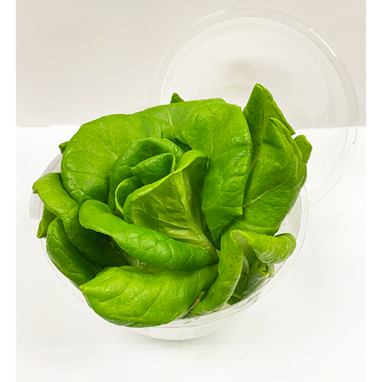 優鮮港品 - 牛油生菜 80g/盒