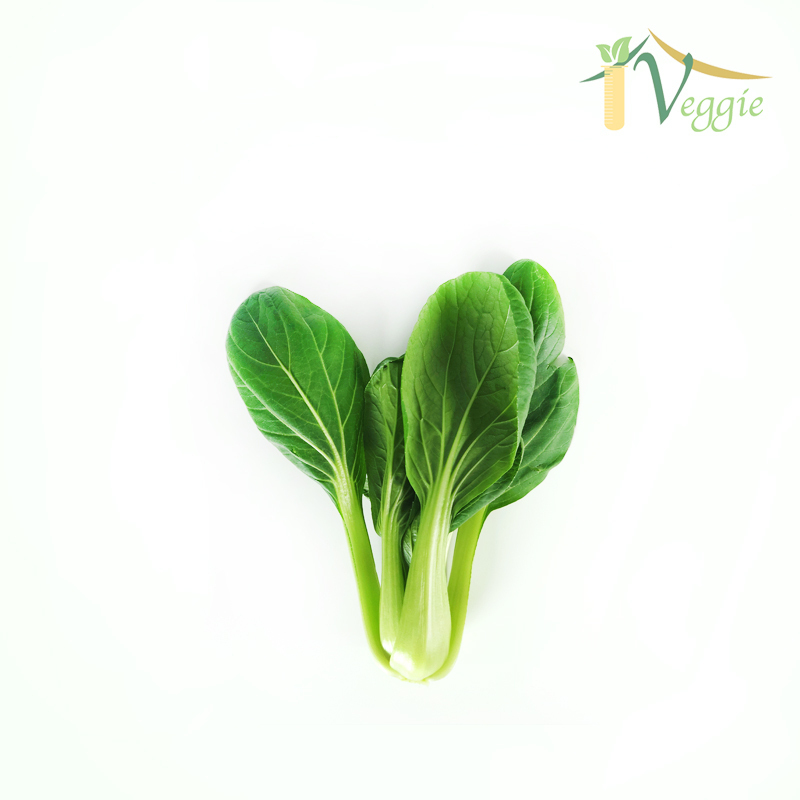 Local Hydroponic Shanghai Cabbage (BAG)