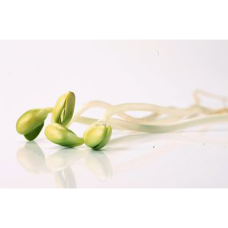 Tai Tong Ecopark -  Local Organic Sprouts (BAG)
