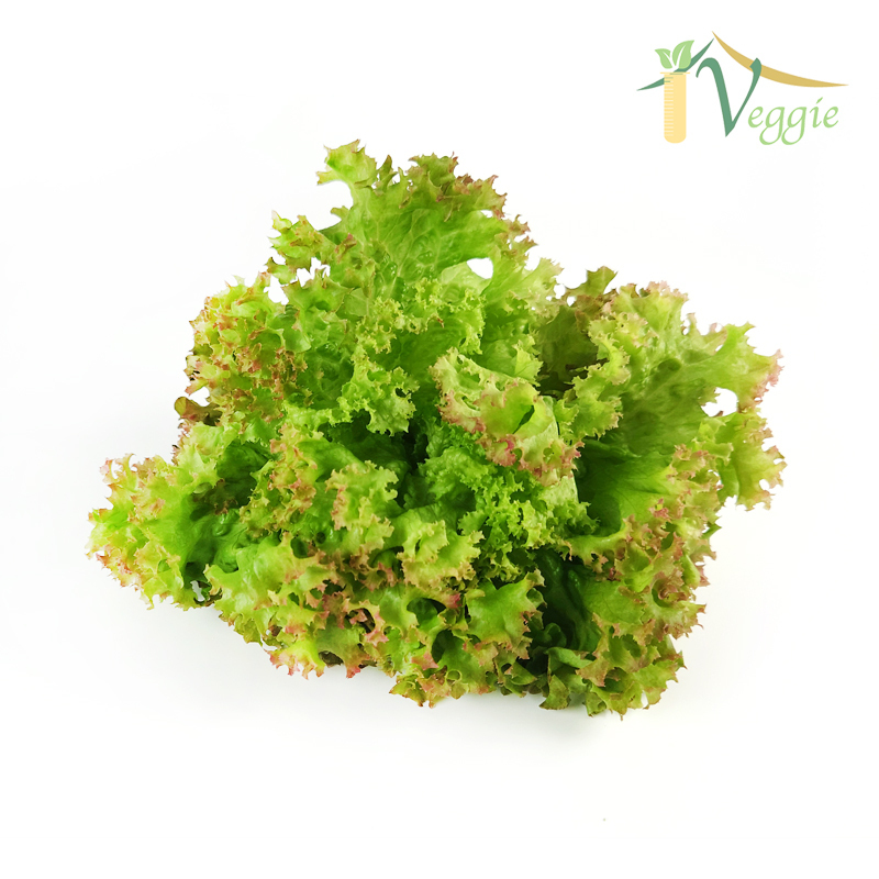 本地水耕珊瑚生菜 (200g/包)