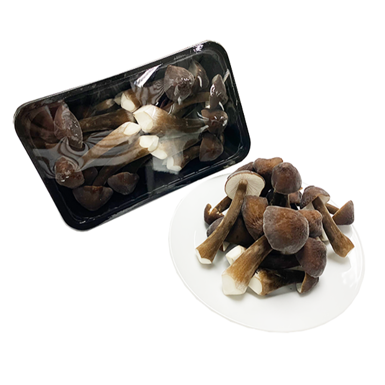 本地黑皮雞樅菌(盒)（買一送一）