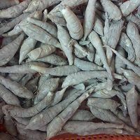 Local Organic Arrowroot (CATTY)