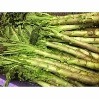 本地萵筍 (斤)