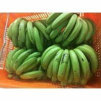 Local Organic Banana (CATTY)