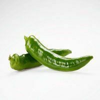 本地青尖椒 (斤)