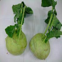 本地有機芥蘭頭（紫色/綠色） (斤)