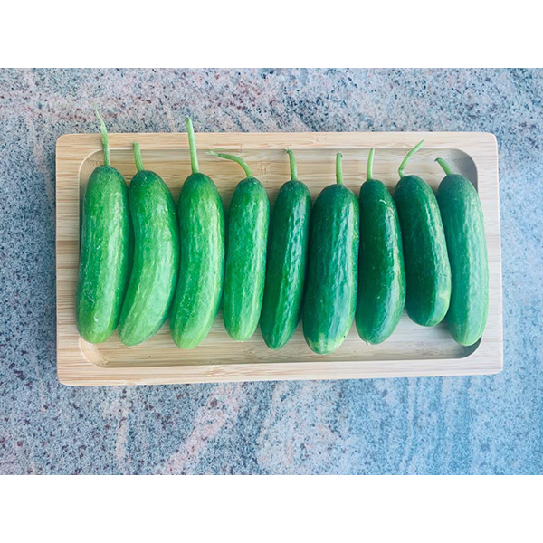 本地漁菜直銷專區：《FarmFest》- 三寶樹農莊 - 有機小青瓜