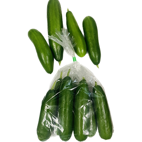 Local Special Offer: 《FarmFest》- Sampo Tree Organic Farm - Green Cucumber