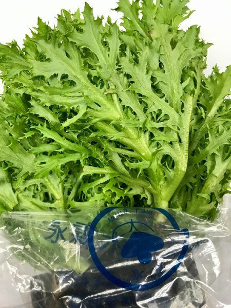 <永霖水耕> 水耕綠尖葉生菜 (包)