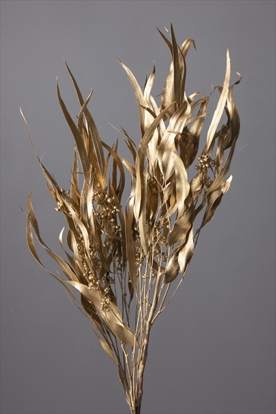 日本不凋柳葉-40175-902