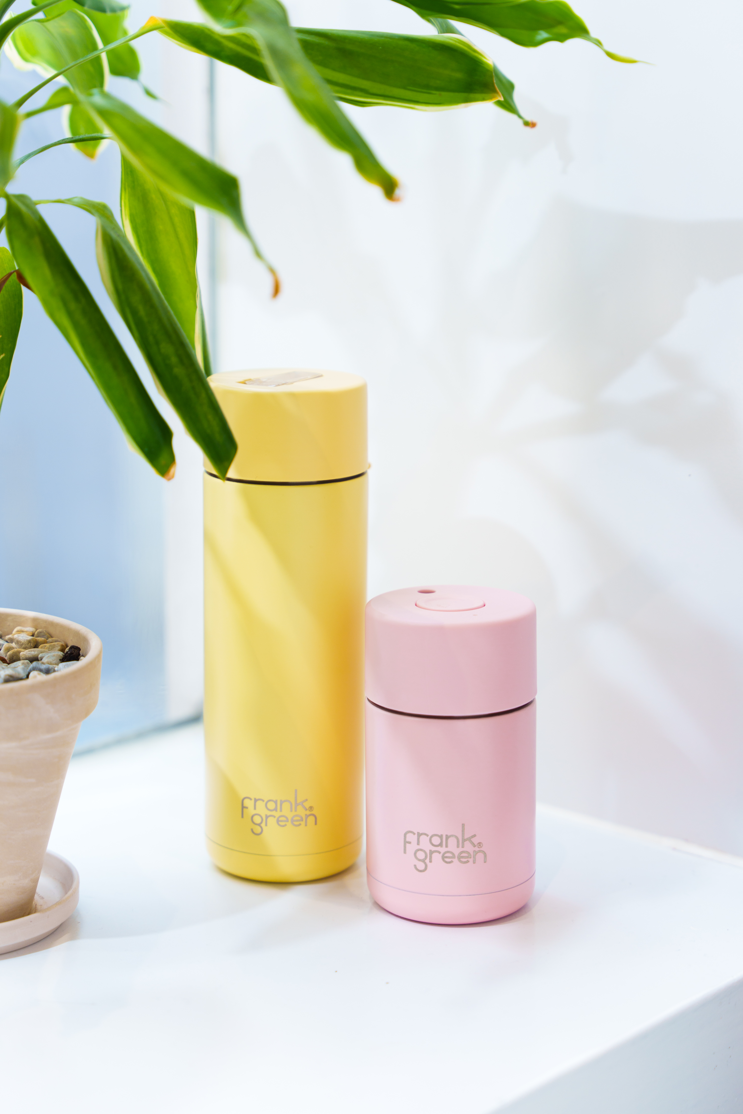 Buttermilk Ceramic Reusable Bottle - 20oz / 595ml | FRANK GREEN