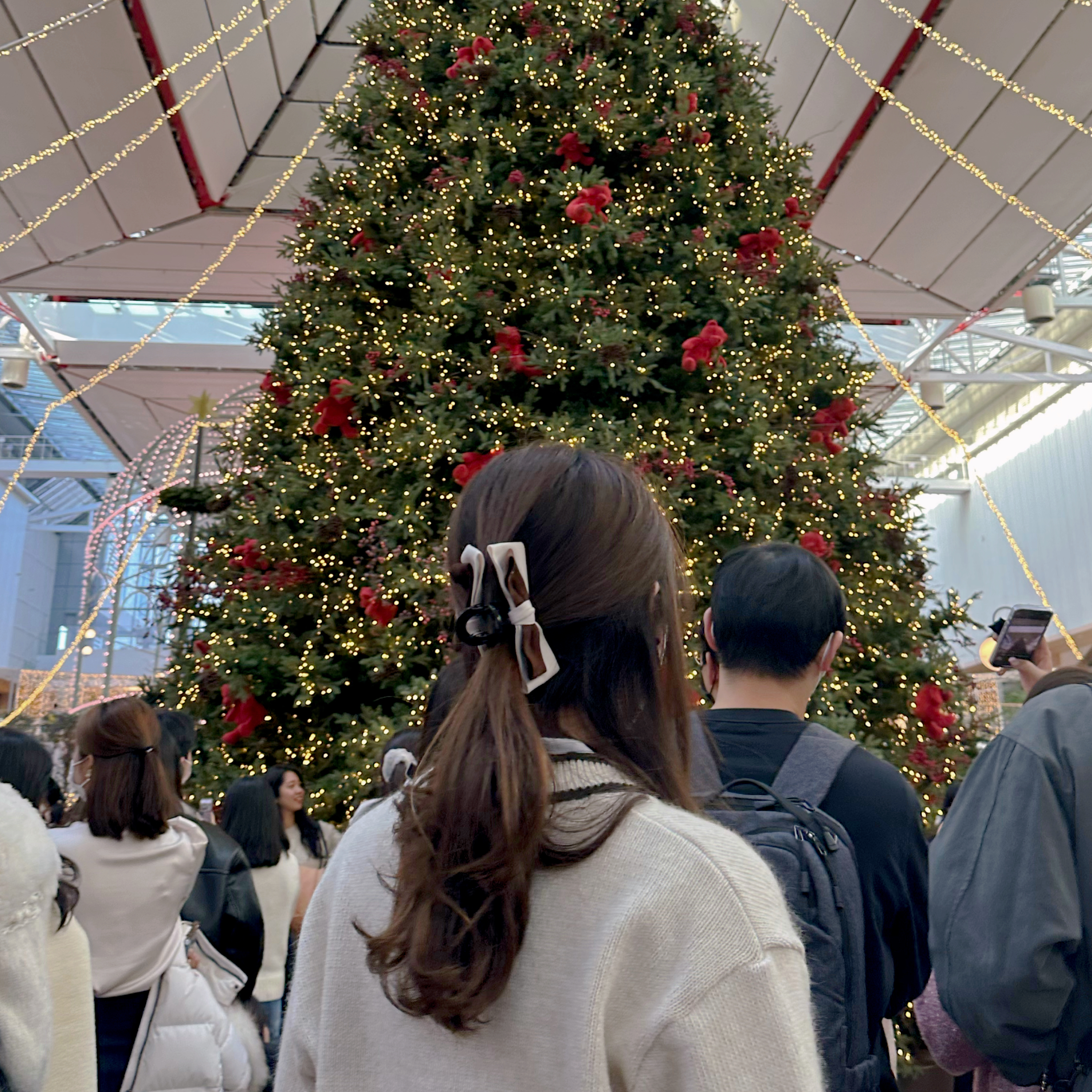 ✨||ACC13||啡拼杏優雅蝴蝶髮夾